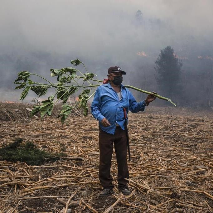 Forest fires burn in nearly half of Mexico’s drought-stricken states, fueled by strong winds.